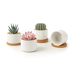 Zoutog succulent pots for sale  Delivered anywhere in USA 