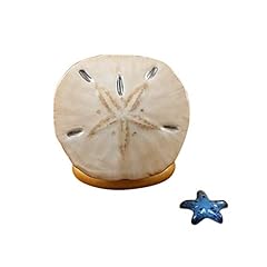 Sand dollar life for sale  Delivered anywhere in USA 