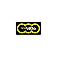 Regina catena 520 usato  Spedito ovunque in Italia 