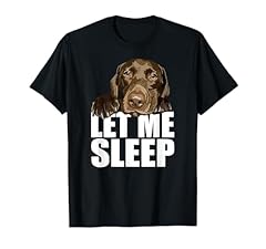 Chocolate lab let for sale  Delivered anywhere in USA 