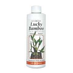 Grow lucky bamboo for sale  Delivered anywhere in USA 