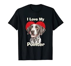 Love pointer cucciolo usato  Spedito ovunque in Italia 