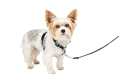 Petsafe dog harness for sale  Delivered anywhere in USA 