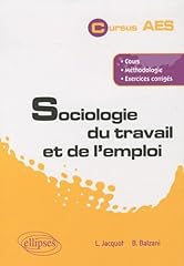 Sociologie travail emploi d'occasion  Livré partout en France