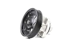 Ridex 1260w0021 pompa usato  Spedito ovunque in Italia 