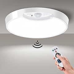 Homelist ceiling light for sale  Delivered anywhere in USA 