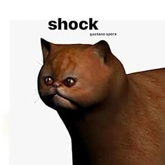 Shock usato  Spedito ovunque in Italia 