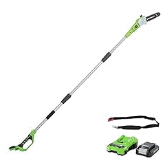 Greenworks g24ps20k2 cordless for sale  Delivered anywhere in UK