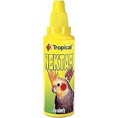 Nektar vit calopsittes d'occasion  Livré partout en France