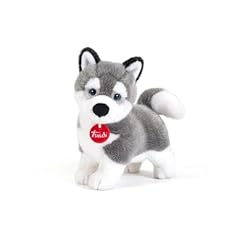 Trudi husky marcus usato  Spedito ovunque in Italia 