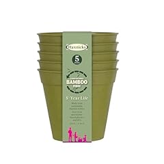Haxnicks vaso per usato  Spedito ovunque in Italia 