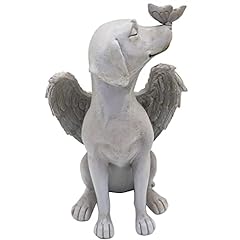 Szhtswu angel dog for sale  Delivered anywhere in USA 