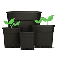 Weedness vaso fiori usato  Spedito ovunque in Italia 