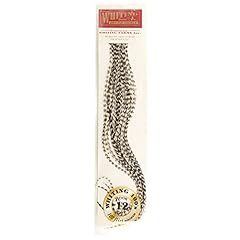 Whiting farms 100 for sale  Delivered anywhere in USA 
