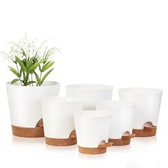 Jeria plant pots for sale  Delivered anywhere in USA 
