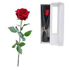Elthmpr infinity rose gebraucht kaufen  Wird an jeden Ort in Deutschland