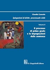 Spiegazioni diritto processual usato  Spedito ovunque in Italia 