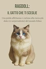 Ragdoll gatto che usato  Spedito ovunque in Italia 
