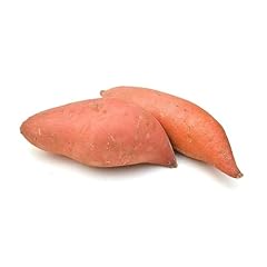 Fresh sweet potato for sale  Delivered anywhere in UK