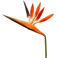 Lot fleurs artificielles d'occasion  Livré partout en France