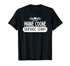 Funny main coone for sale  Delivered anywhere in UK