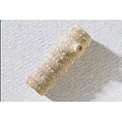 Crinoid stem fossil for sale  Delivered anywhere in USA 