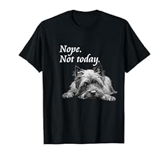Adorable cairn terrier for sale  Delivered anywhere in USA 