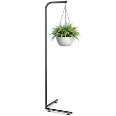 Zononoca hanging plant for sale  Delivered anywhere in USA 