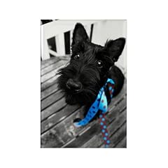 Cafepress scottie dog for sale  Delivered anywhere in USA 