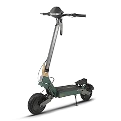Honeywhale dual electric for sale  Delivered anywhere in USA 