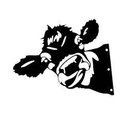 Colcolo tête vache d'occasion  Livré partout en France