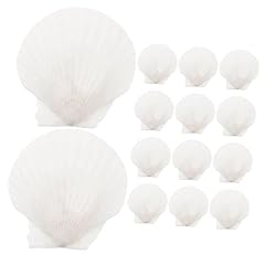 Beaupretty pièces coquilles d'occasion  Livré partout en France