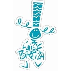 Aise breizh autocollant d'occasion  Livré partout en France