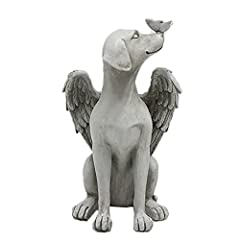 Dnoifne angel dog for sale  Delivered anywhere in USA 
