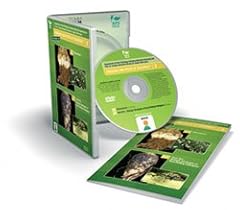 Diseases pests sugarbeet for sale  Delivered anywhere in UK