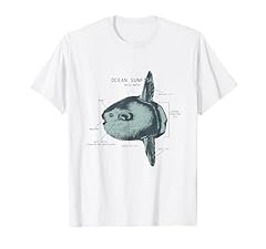 Oceano sunfish anatomia usato  Spedito ovunque in Italia 