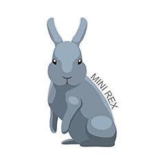 Mini rex rabbit for sale  Delivered anywhere in USA 