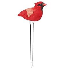 Pilipane cute bird for sale  Delivered anywhere in USA 