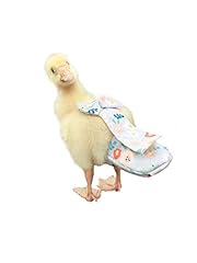 Hezhuo duck diapers for sale  Delivered anywhere in USA 