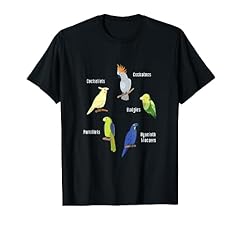 Pappagallo specie regalo usato  Spedito ovunque in Italia 