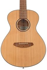 Breedlove discovery companion d'occasion  Livré partout en France