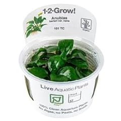 Tropica grow anubias d'occasion  Livré partout en Belgiqu