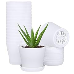 Jeria pack plastic for sale  Delivered anywhere in USA 