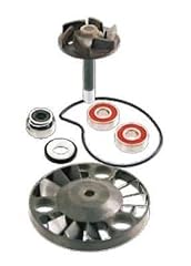 Kit revisione pompa usato  Spedito ovunque in Italia 