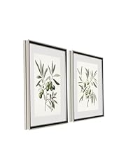 Framed botanical wall for sale  Delivered anywhere in USA 