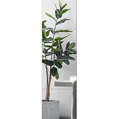 Cunnikku wall mirror for sale  Delivered anywhere in USA 