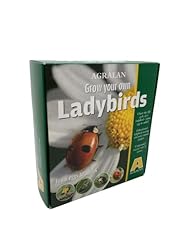 Agralan grow ladybirds for sale  Delivered anywhere in UK