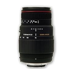 Sigma 300 6 usato  Spedito ovunque in Italia 