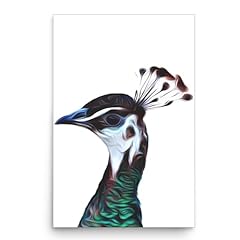 Female peafowl peahen for sale  Delivered anywhere in USA 