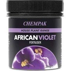 Chempak african violet for sale  Delivered anywhere in Ireland